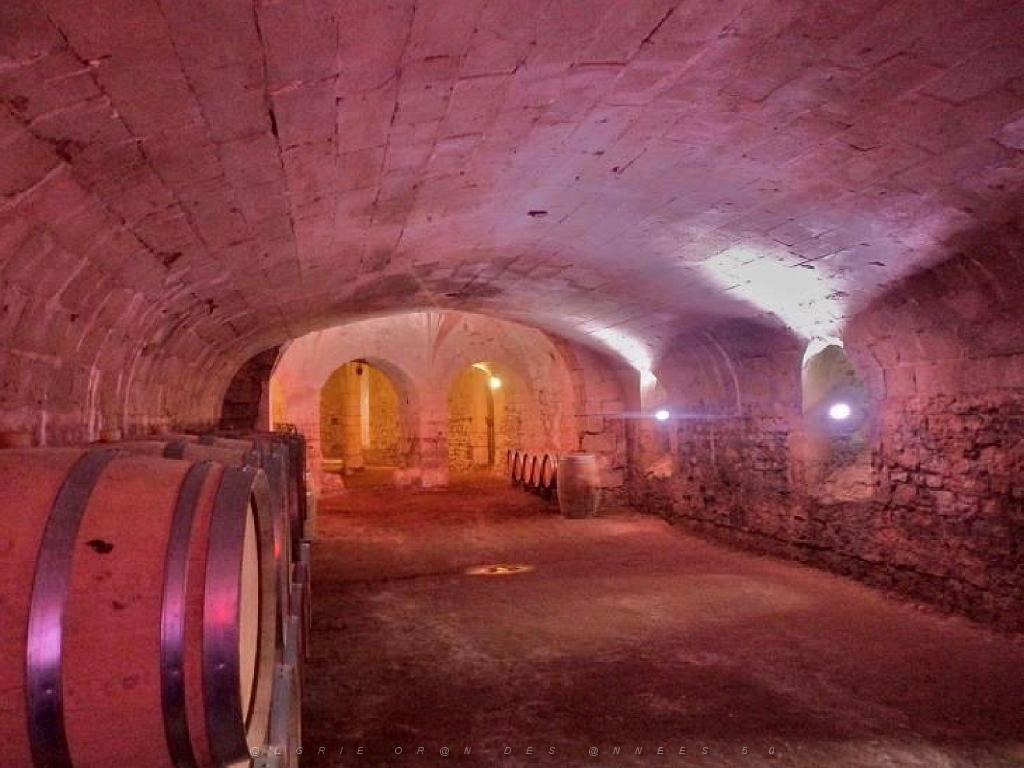 149 CHATEAU DE MONTREUIL BELLAY MAINE ET LOIRE 2016_000056.jpg